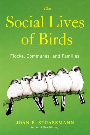 The Social Life of Birds